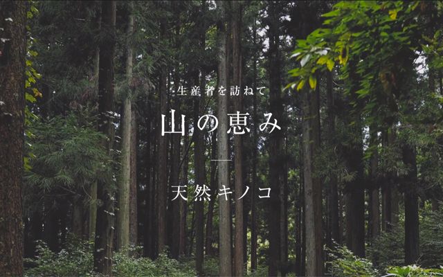 オステリア アオ様(動画)